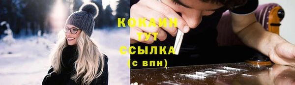 мяу мяу мука Аркадак