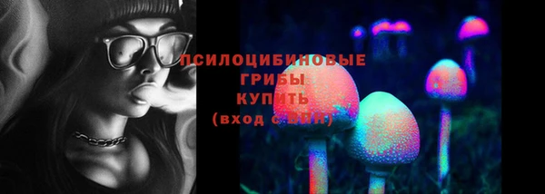 мяу мяу мука Аркадак