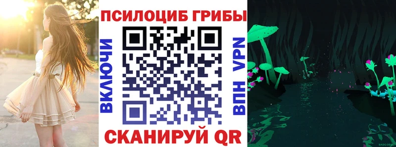 Псилоцибиновые грибы Psilocybine cubensis Артёмовск