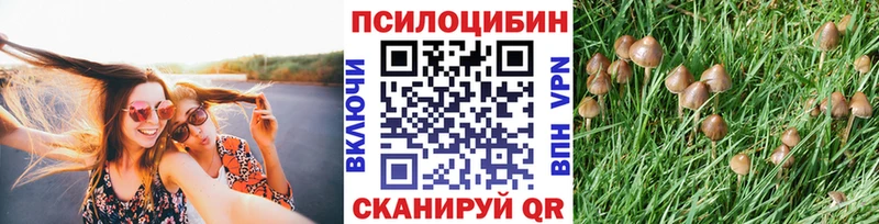 Купить где  Артёмовск  Псилоцибиновые грибы Psilocybine cubensis 